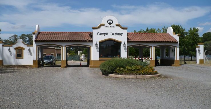 Campo Daromy, LOTE N° 64: 1041,16 M2